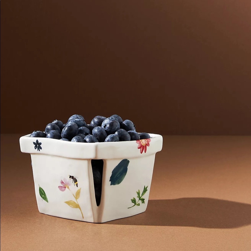 Anthropologie BRAND NEW, Monarch Berry Basket